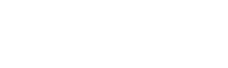 Fencing Solutions Logo